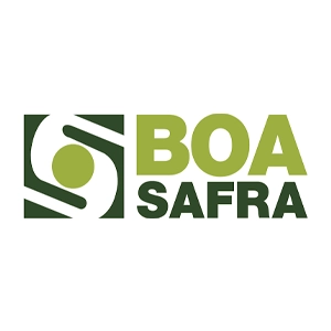 boa safra
